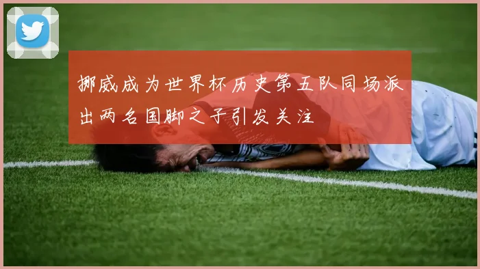 挪威成为世界杯历史第五队同场派出两名国脚之子引发关注