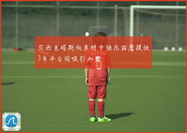 贝西克塔斯向多特中场厄兹詹提供3年半合同吸引加盟