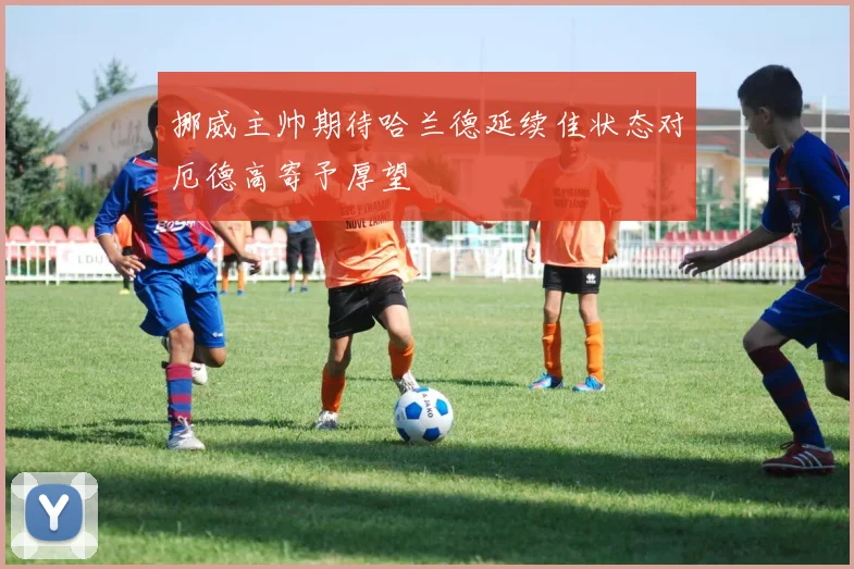 挪威主帅期待哈兰德延续佳状态对厄德高寄予厚望