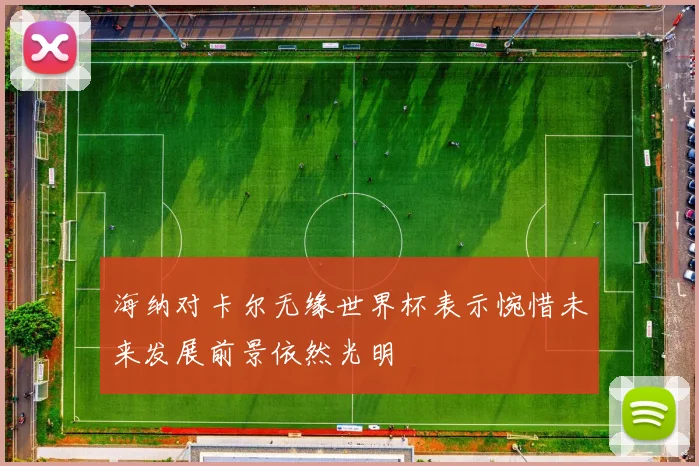 海纳对卡尔无缘世界杯表示惋惜未来发展前景依然光明