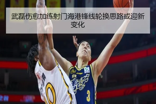 武磊伤愈加练射门海港锋线轮换思路或迎新变化